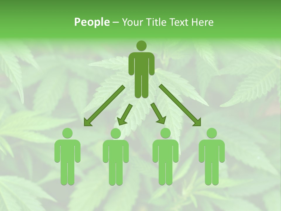 Culture Green Indicate PowerPoint Template