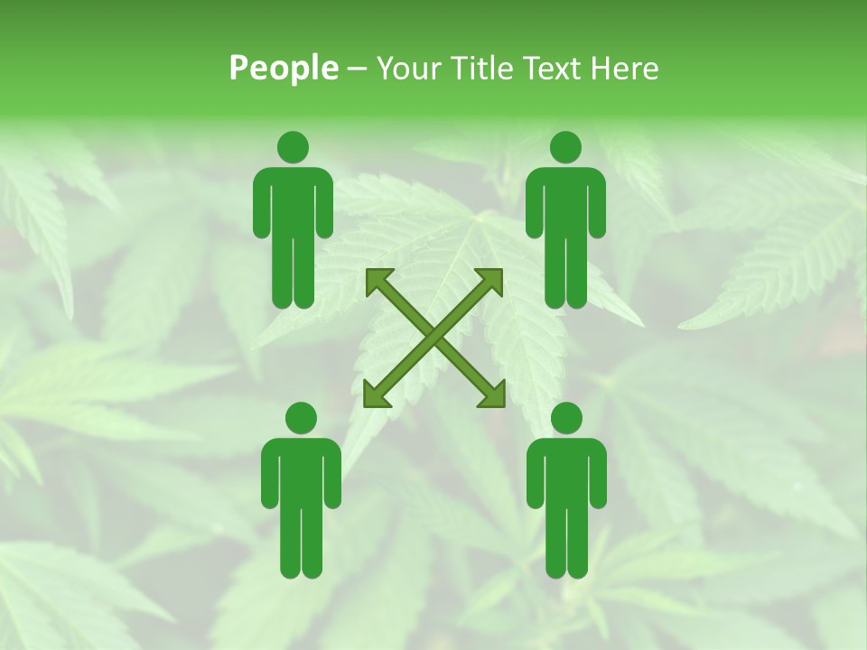 Culture Green Indicate PowerPoint Template