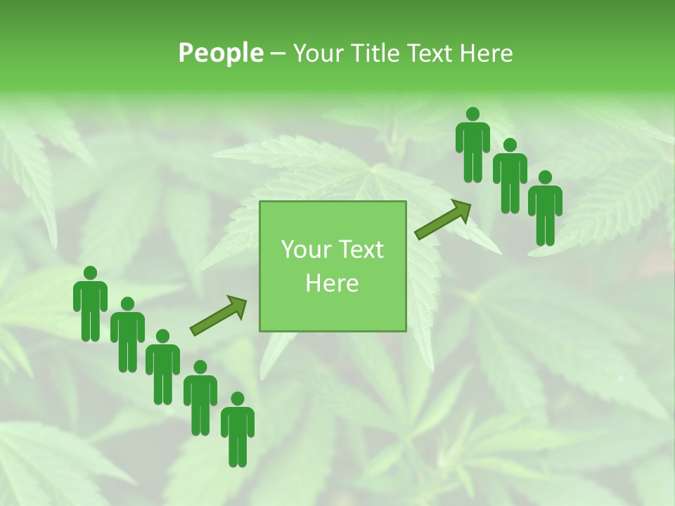 Culture Green Indicate PowerPoint Template