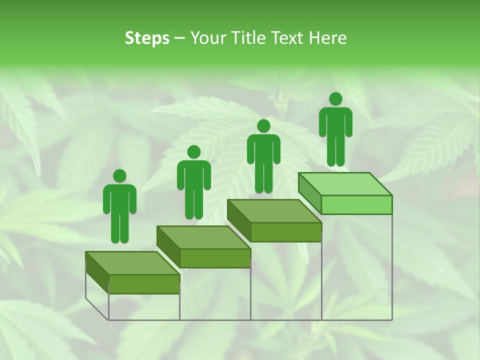 Culture Green Indicate PowerPoint Template