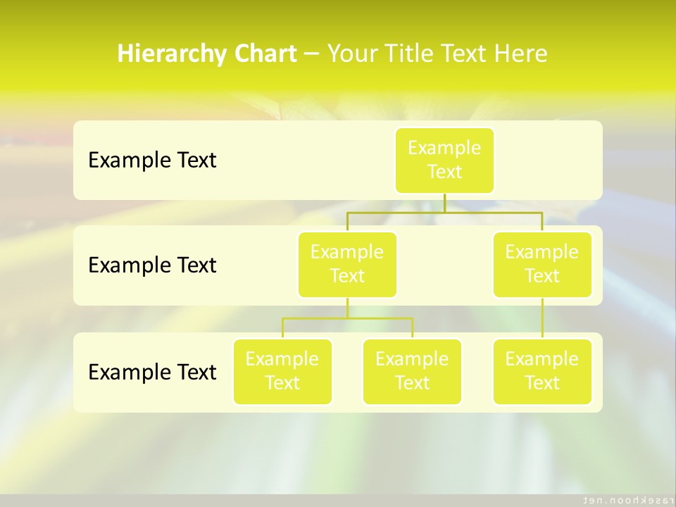 A Group Of Colored Pencils Arranged In A Circle PowerPoint Template