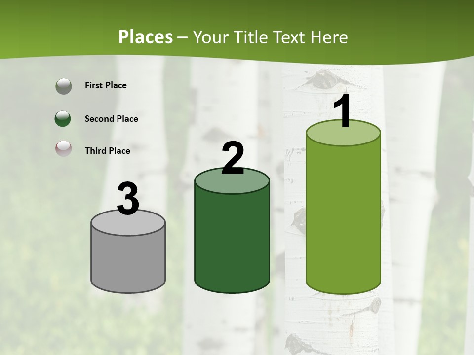 A Group Of White Birch Trees With Green Grass In The Background PowerPoint Template