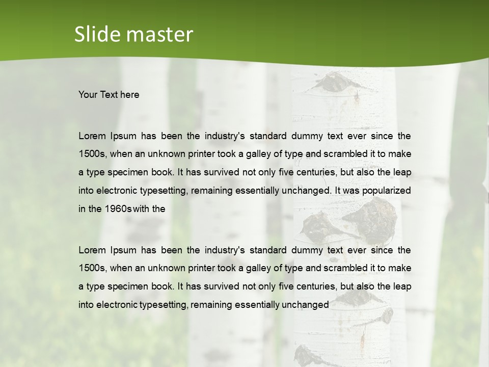 A Group Of White Birch Trees With Green Grass In The Background PowerPoint Template