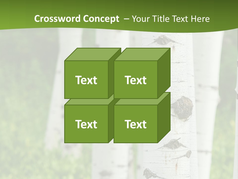 A Group Of White Birch Trees With Green Grass In The Background PowerPoint Template