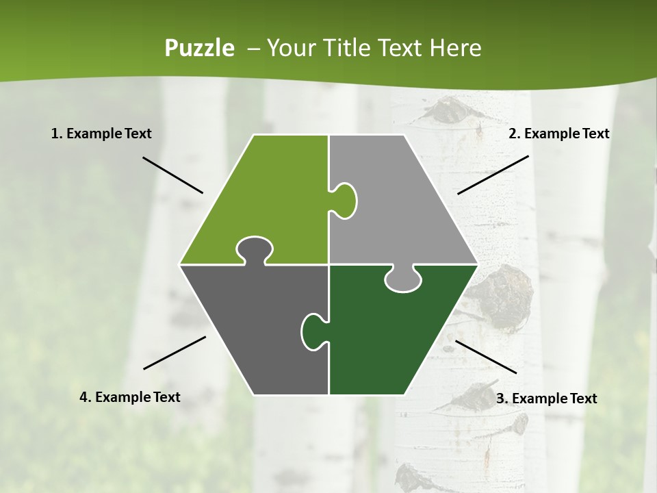 A Group Of White Birch Trees With Green Grass In The Background PowerPoint Template