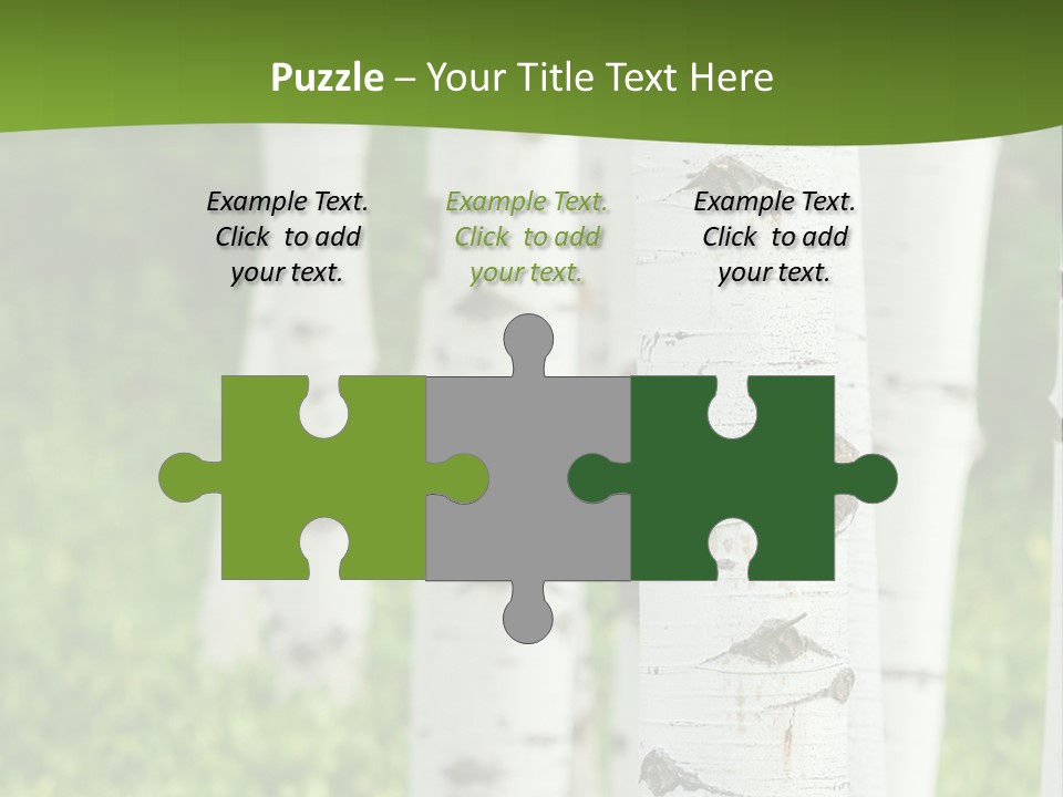 A Group Of White Birch Trees With Green Grass In The Background PowerPoint Template