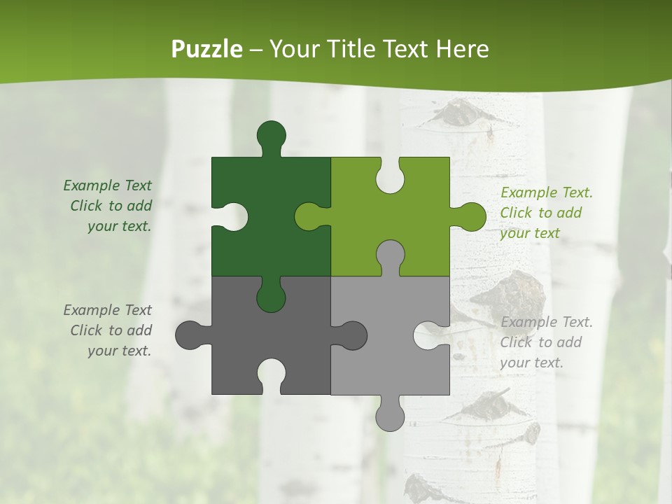 A Group Of White Birch Trees With Green Grass In The Background PowerPoint Template