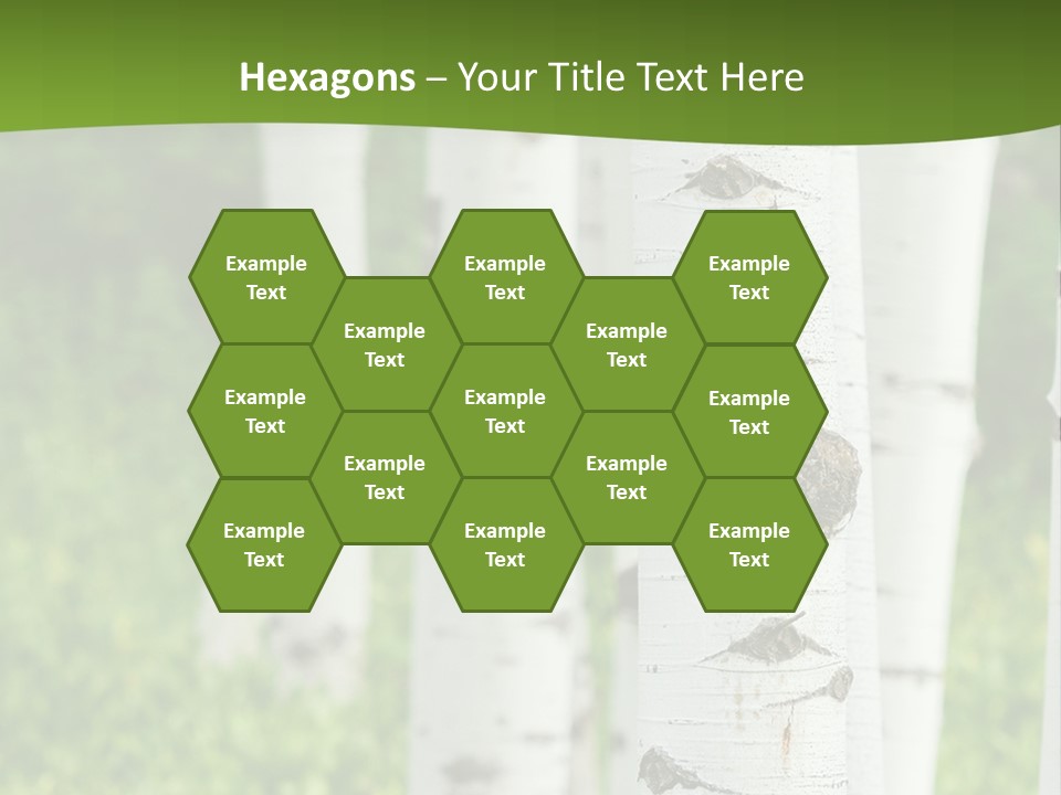 A Group Of White Birch Trees With Green Grass In The Background PowerPoint Template