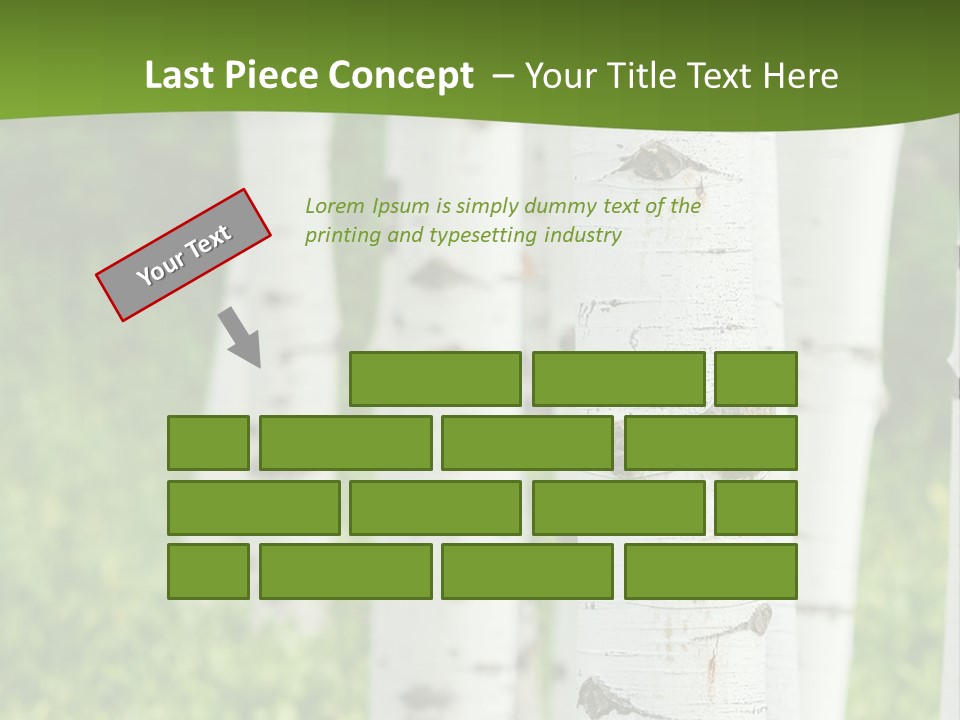 A Group Of White Birch Trees With Green Grass In The Background PowerPoint Template
