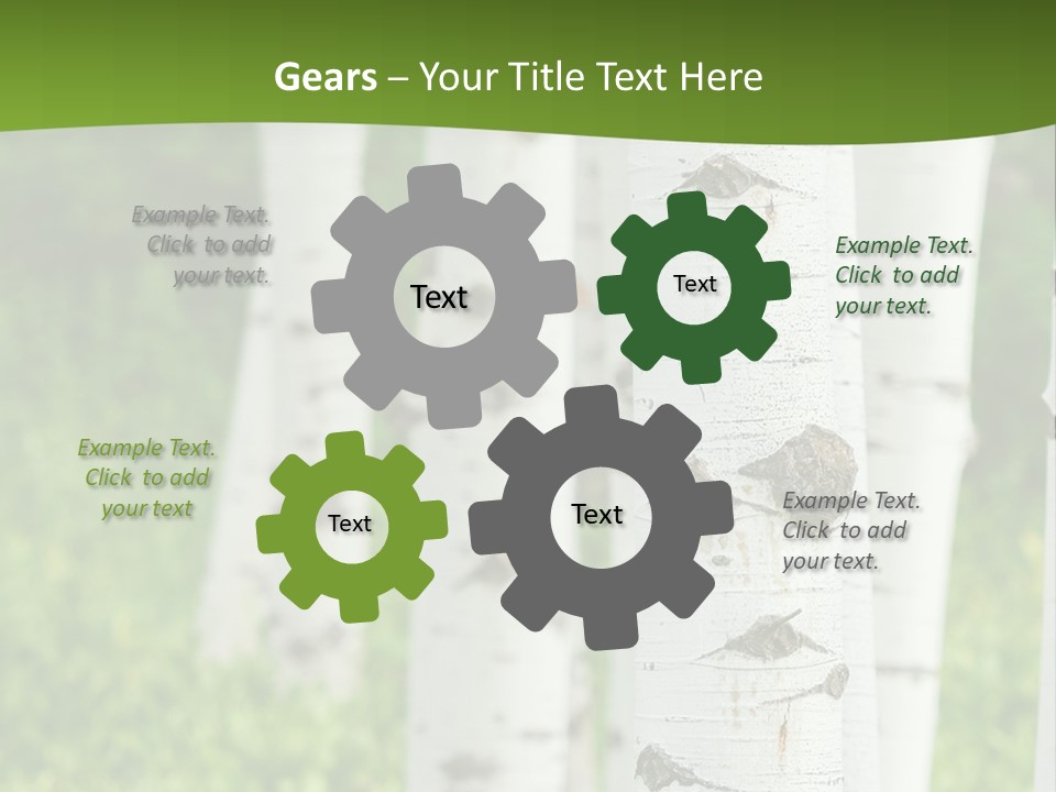 A Group Of White Birch Trees With Green Grass In The Background PowerPoint Template