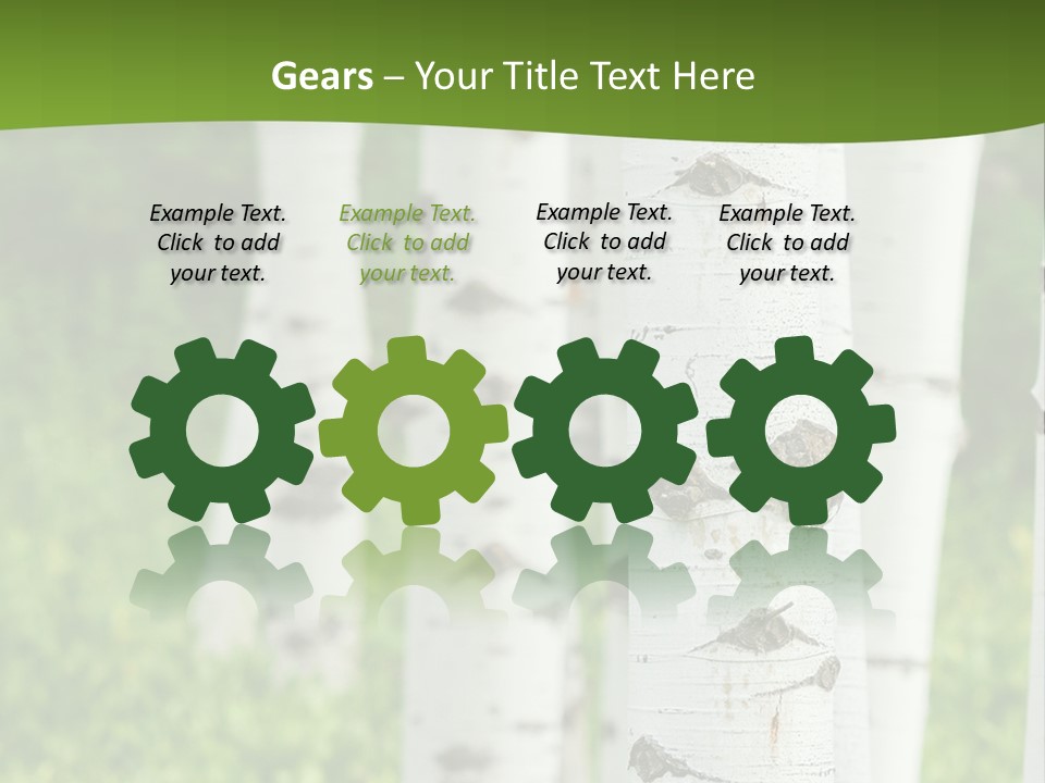 A Group Of White Birch Trees With Green Grass In The Background PowerPoint Template