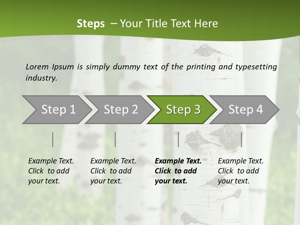A Group Of White Birch Trees With Green Grass In The Background PowerPoint Template