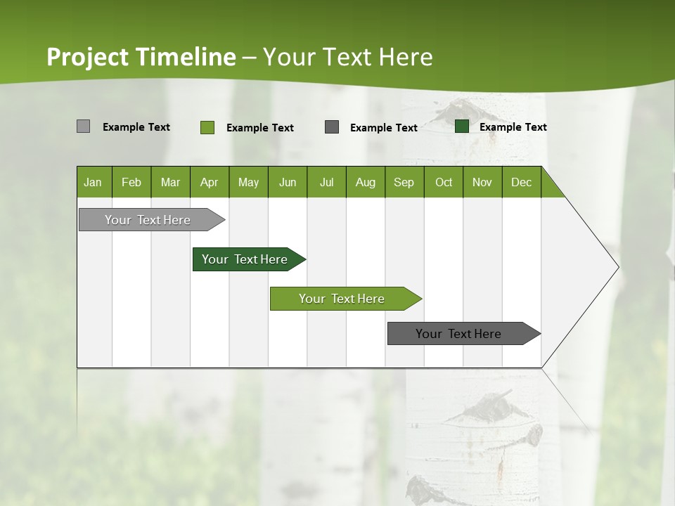 A Group Of White Birch Trees With Green Grass In The Background PowerPoint Template