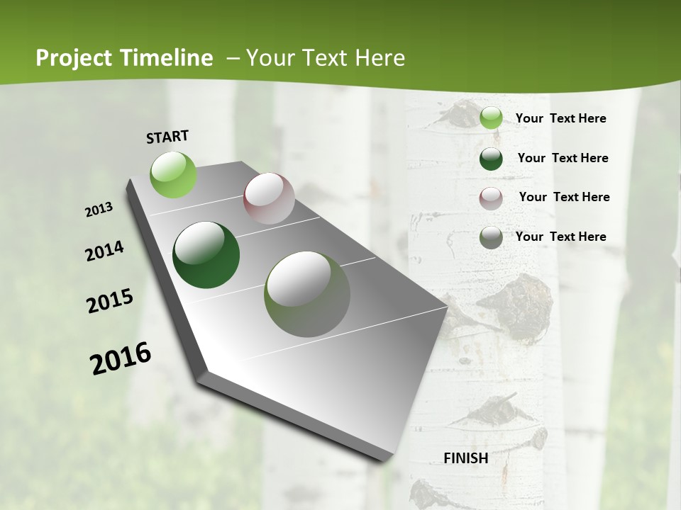 A Group Of White Birch Trees With Green Grass In The Background PowerPoint Template