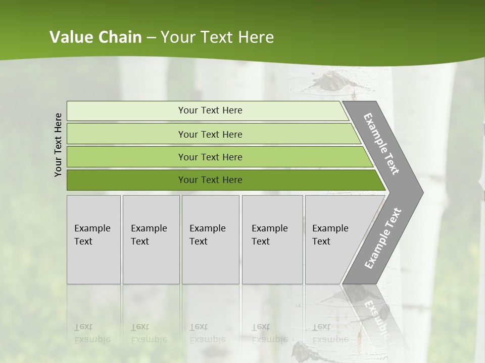 A Group Of White Birch Trees With Green Grass In The Background PowerPoint Template