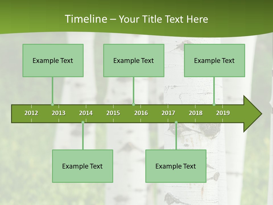 A Group Of White Birch Trees With Green Grass In The Background PowerPoint Template