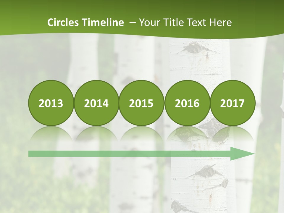 A Group Of White Birch Trees With Green Grass In The Background PowerPoint Template