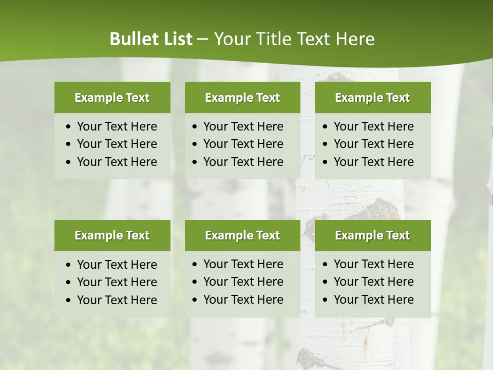 A Group Of White Birch Trees With Green Grass In The Background PowerPoint Template