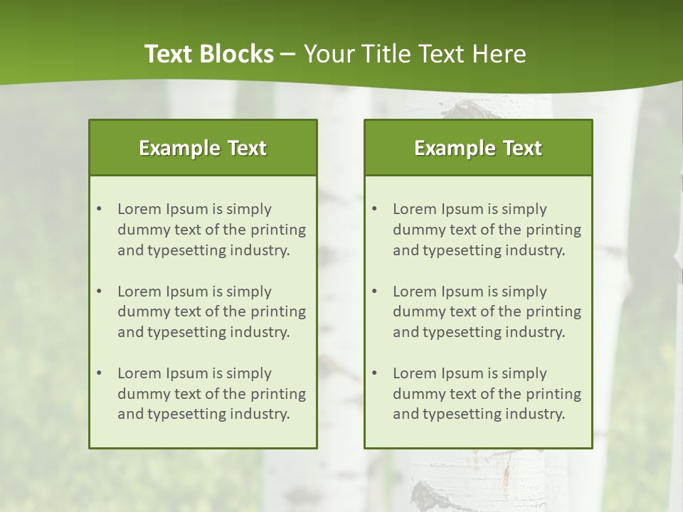 A Group Of White Birch Trees With Green Grass In The Background PowerPoint Template