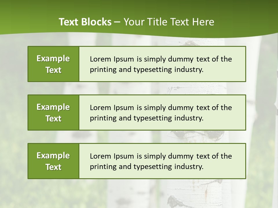 A Group Of White Birch Trees With Green Grass In The Background PowerPoint Template