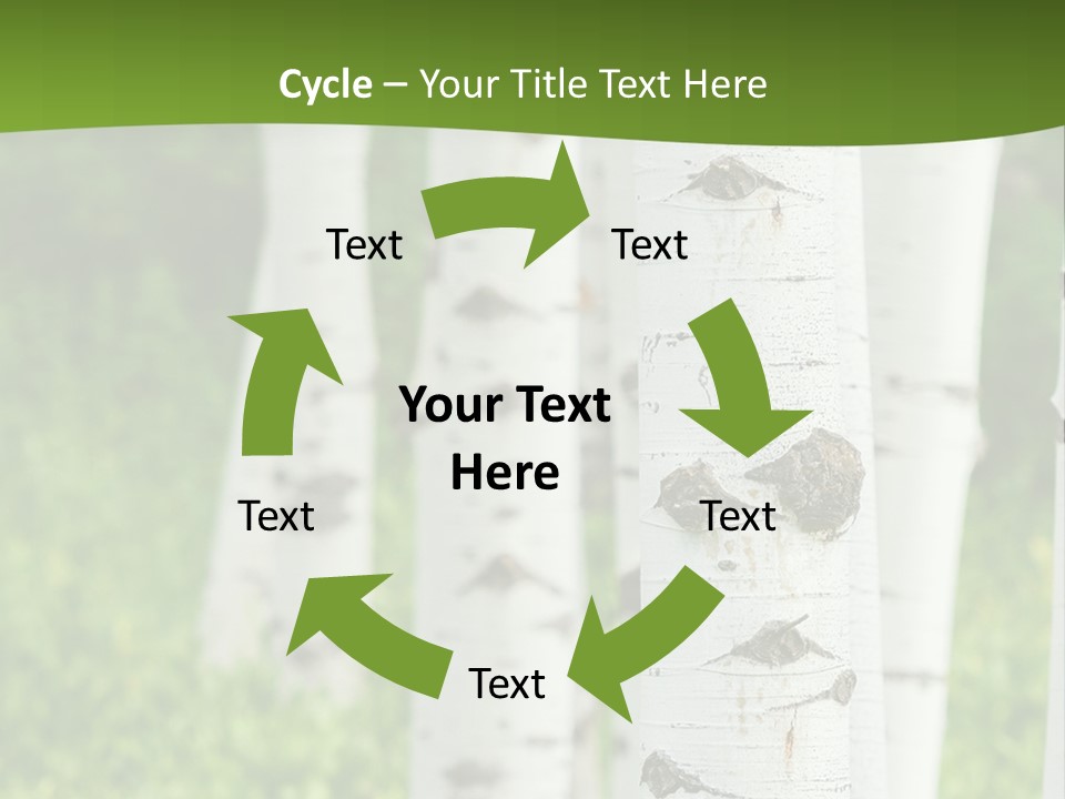 A Group Of White Birch Trees With Green Grass In The Background PowerPoint Template