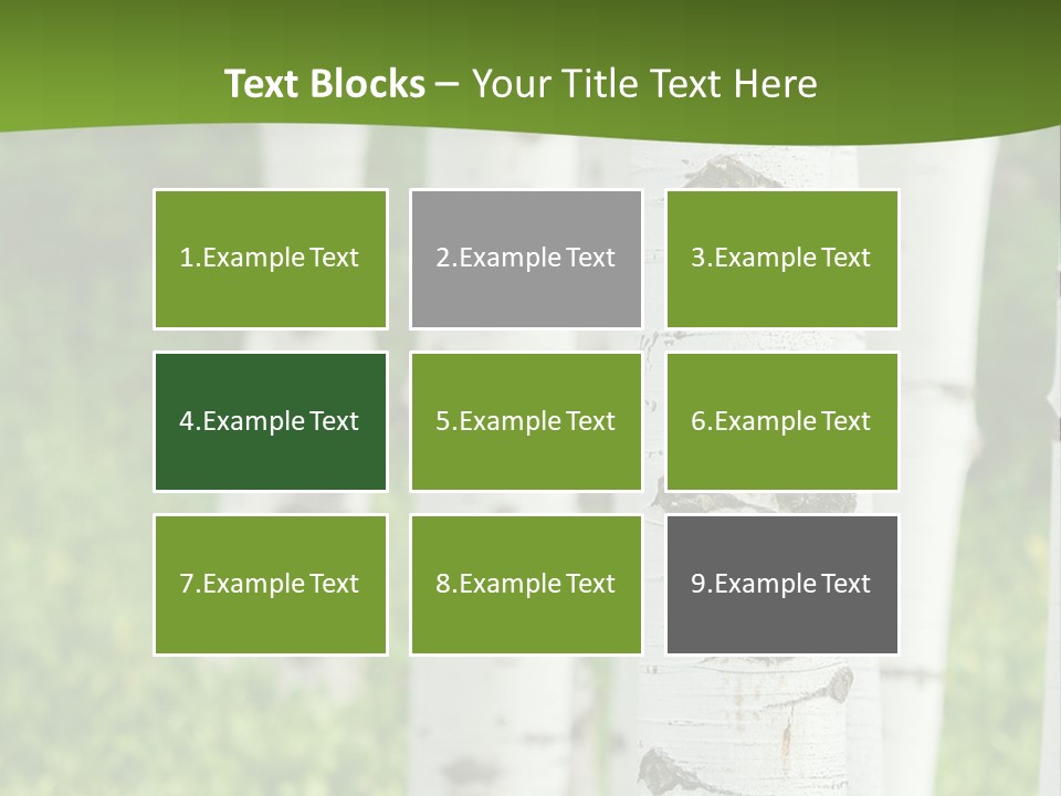 A Group Of White Birch Trees With Green Grass In The Background PowerPoint Template