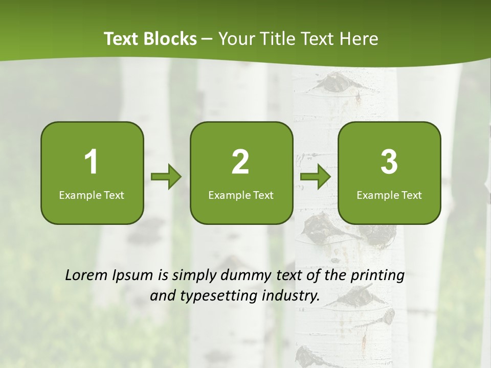 A Group Of White Birch Trees With Green Grass In The Background PowerPoint Template