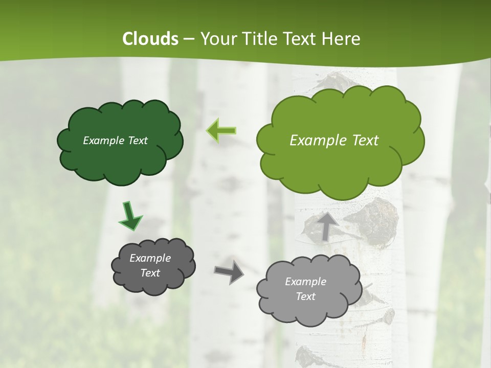 A Group Of White Birch Trees With Green Grass In The Background PowerPoint Template