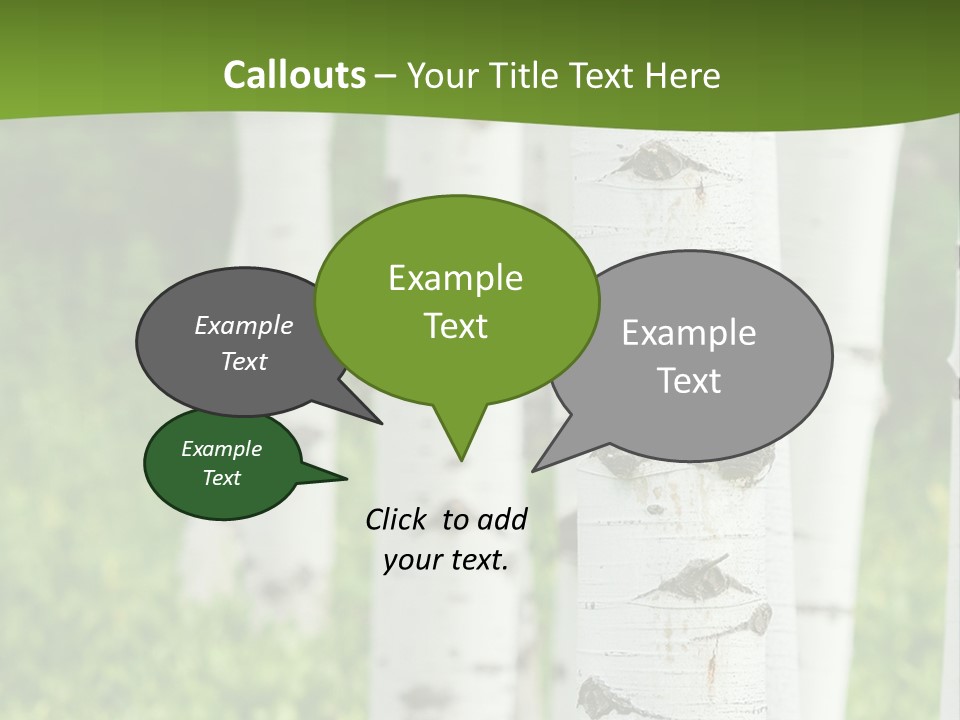A Group Of White Birch Trees With Green Grass In The Background PowerPoint Template