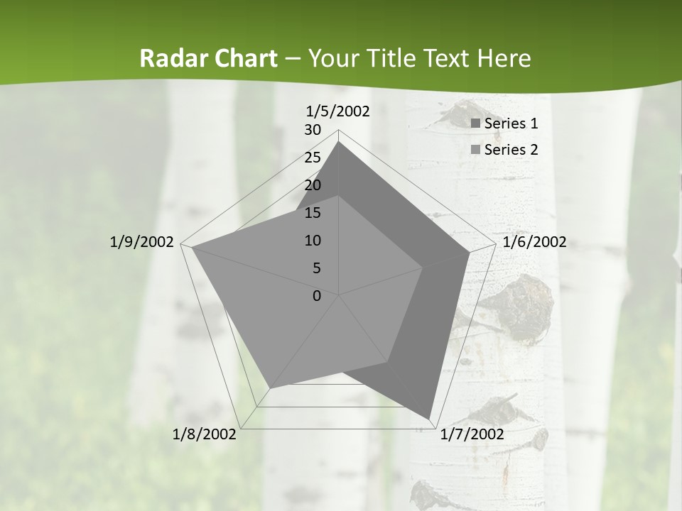 A Group Of White Birch Trees With Green Grass In The Background PowerPoint Template