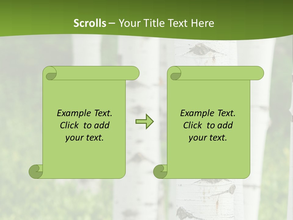 A Group Of White Birch Trees With Green Grass In The Background PowerPoint Template
