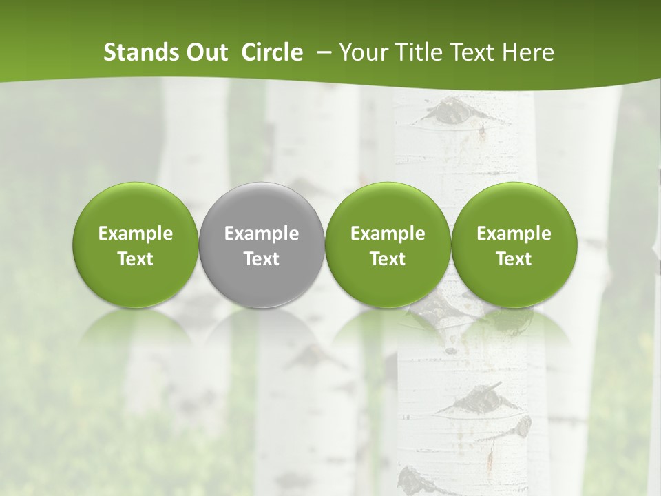 A Group Of White Birch Trees With Green Grass In The Background PowerPoint Template