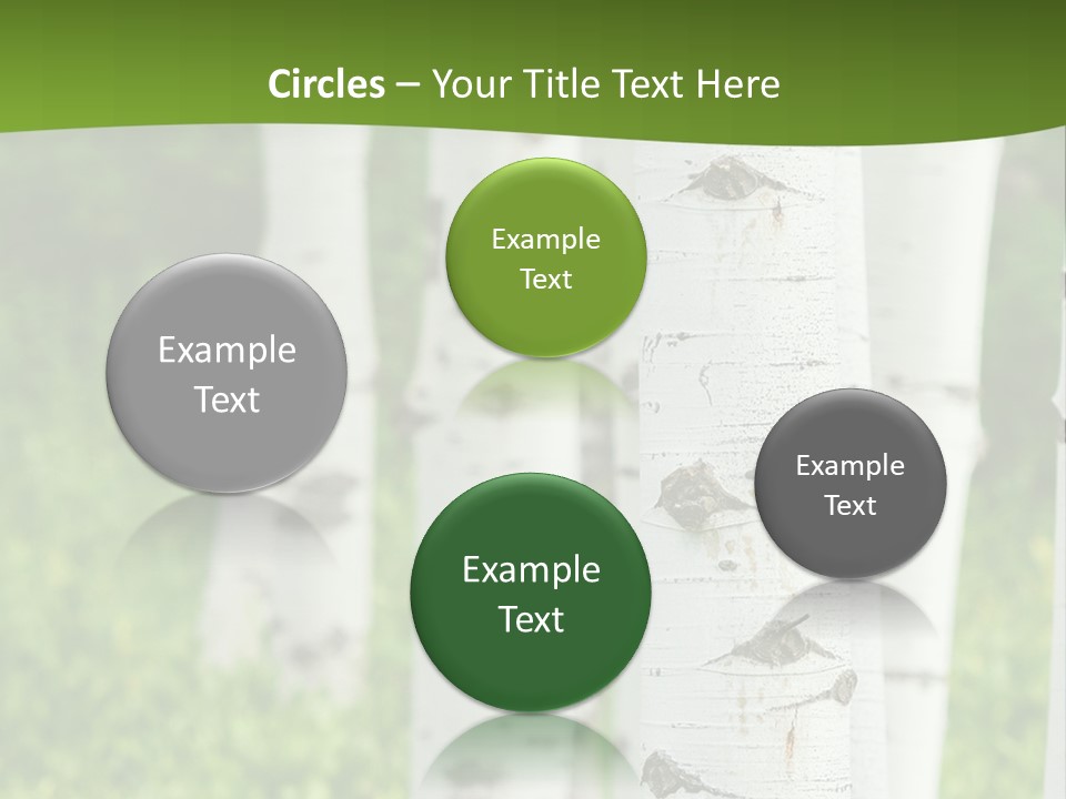 A Group Of White Birch Trees With Green Grass In The Background PowerPoint Template