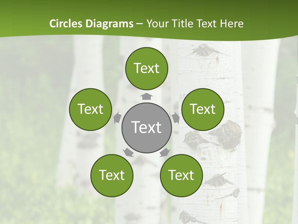 A Group Of White Birch Trees With Green Grass In The Background PowerPoint Template