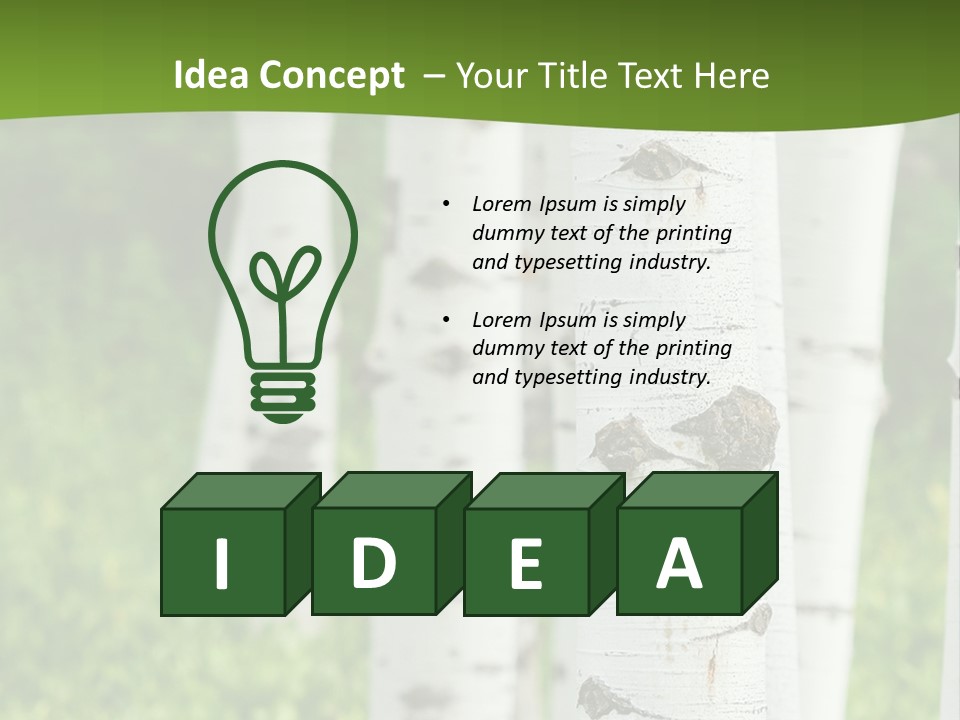 A Group Of White Birch Trees With Green Grass In The Background PowerPoint Template