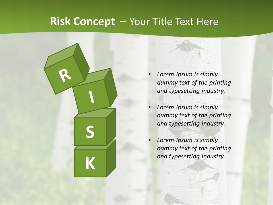 A Group Of White Birch Trees With Green Grass In The Background PowerPoint Template
