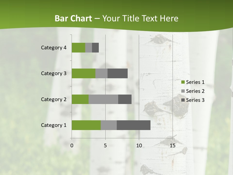 A Group Of White Birch Trees With Green Grass In The Background PowerPoint Template