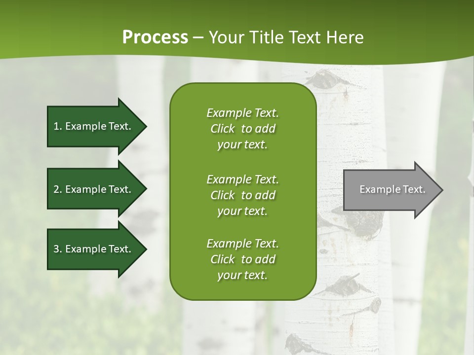 A Group Of White Birch Trees With Green Grass In The Background PowerPoint Template