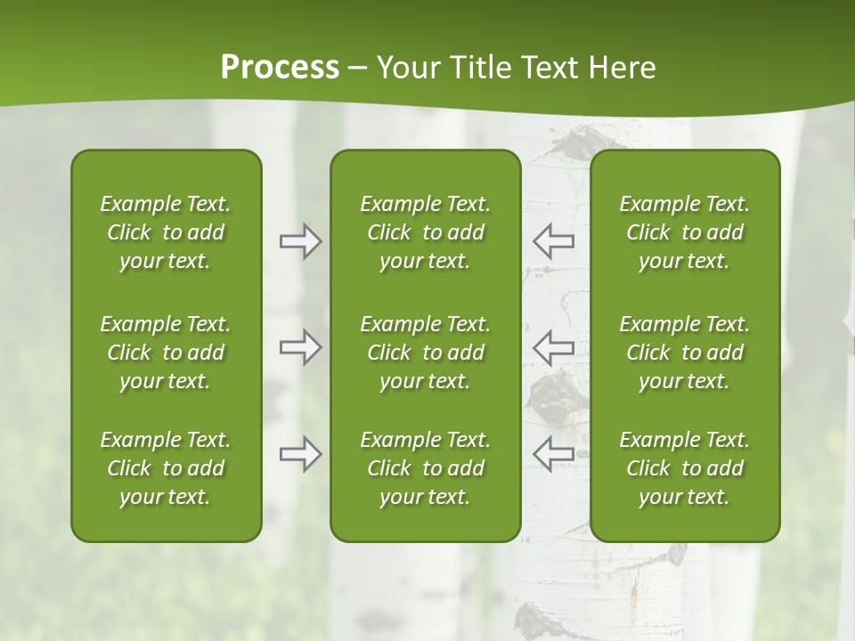 A Group Of White Birch Trees With Green Grass In The Background PowerPoint Template