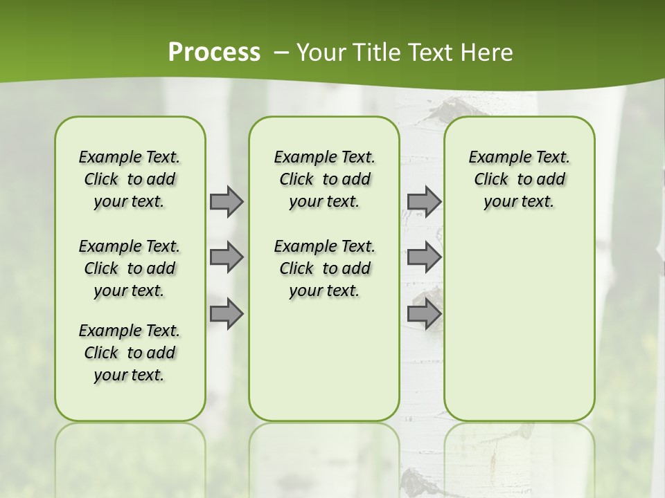 A Group Of White Birch Trees With Green Grass In The Background PowerPoint Template