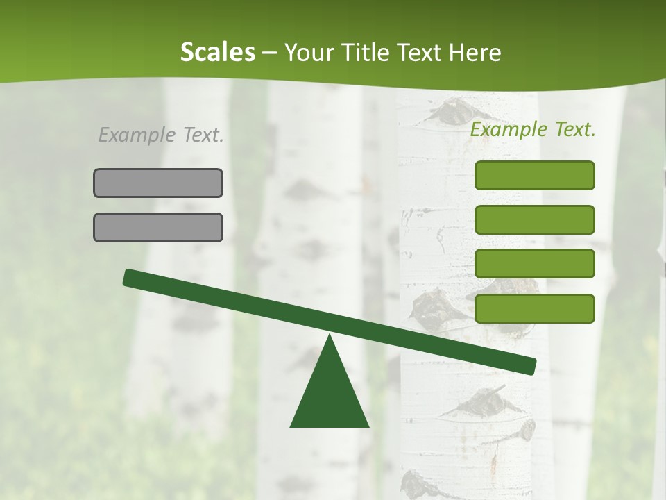 A Group Of White Birch Trees With Green Grass In The Background PowerPoint Template