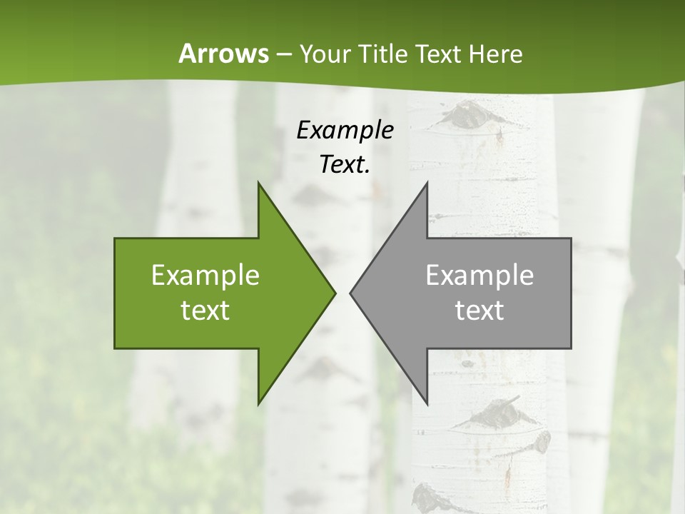 A Group Of White Birch Trees With Green Grass In The Background PowerPoint Template