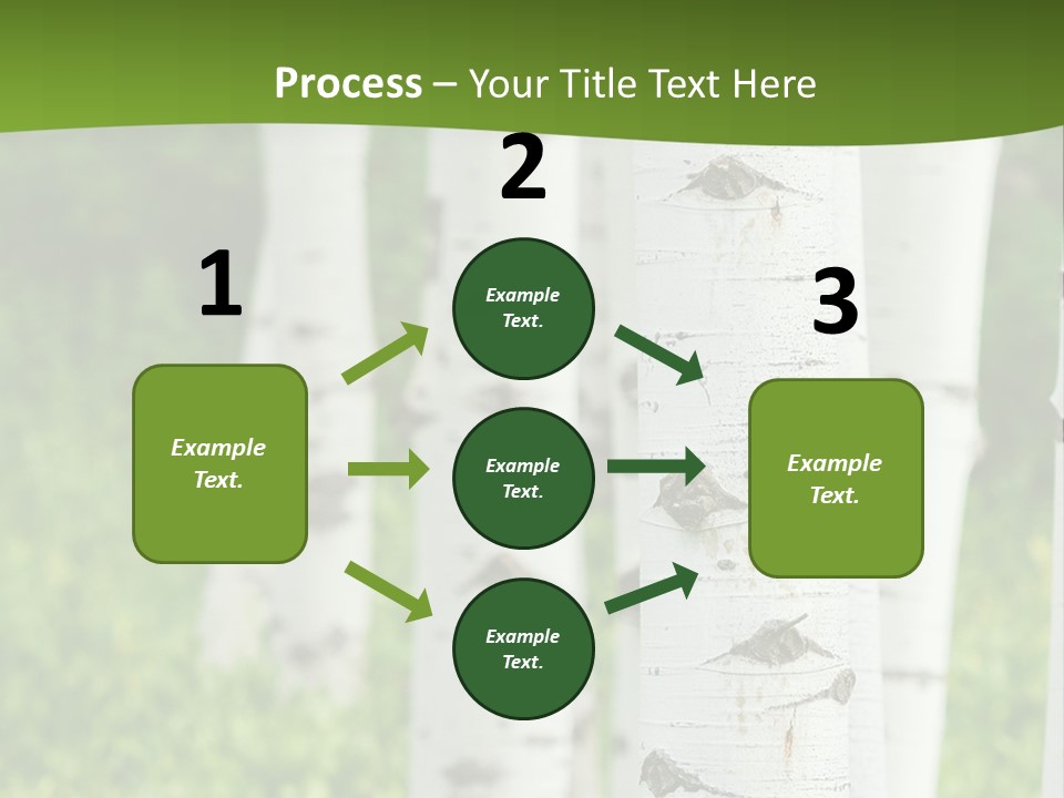 A Group Of White Birch Trees With Green Grass In The Background PowerPoint Template