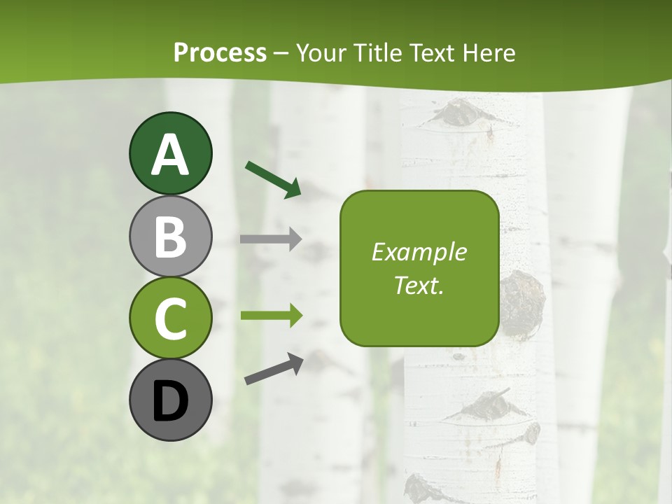 A Group Of White Birch Trees With Green Grass In The Background PowerPoint Template