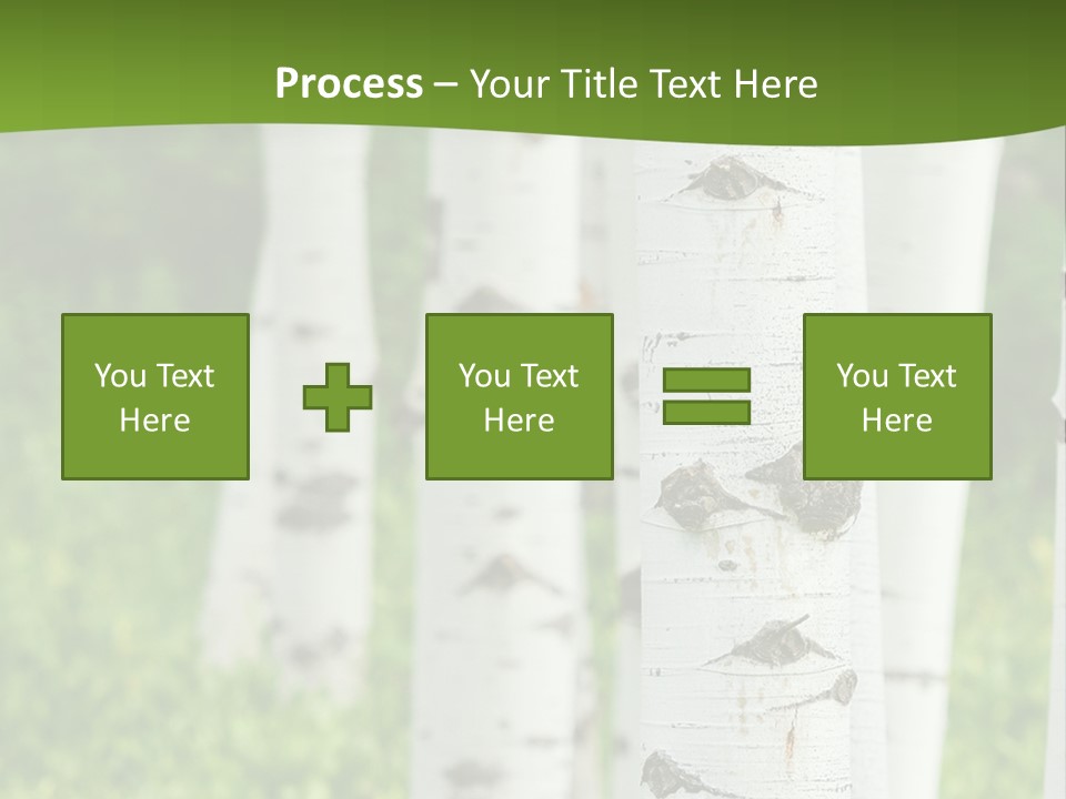 A Group Of White Birch Trees With Green Grass In The Background PowerPoint Template