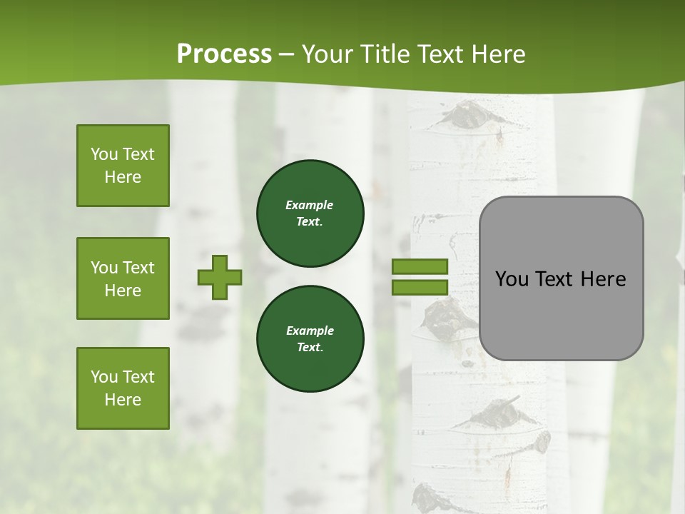 A Group Of White Birch Trees With Green Grass In The Background PowerPoint Template