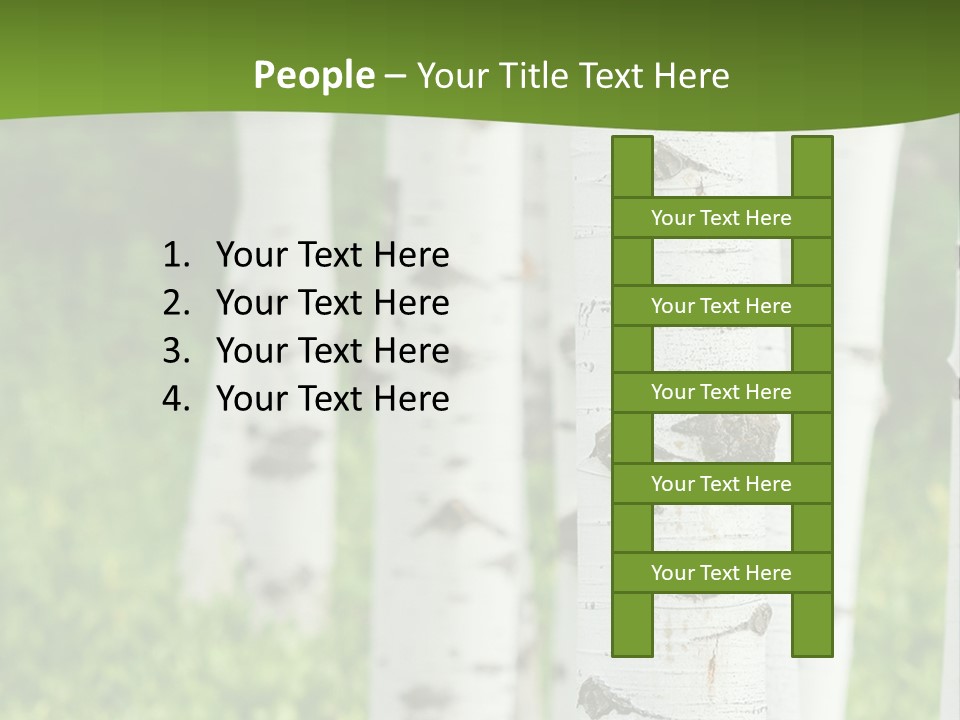 A Group Of White Birch Trees With Green Grass In The Background PowerPoint Template