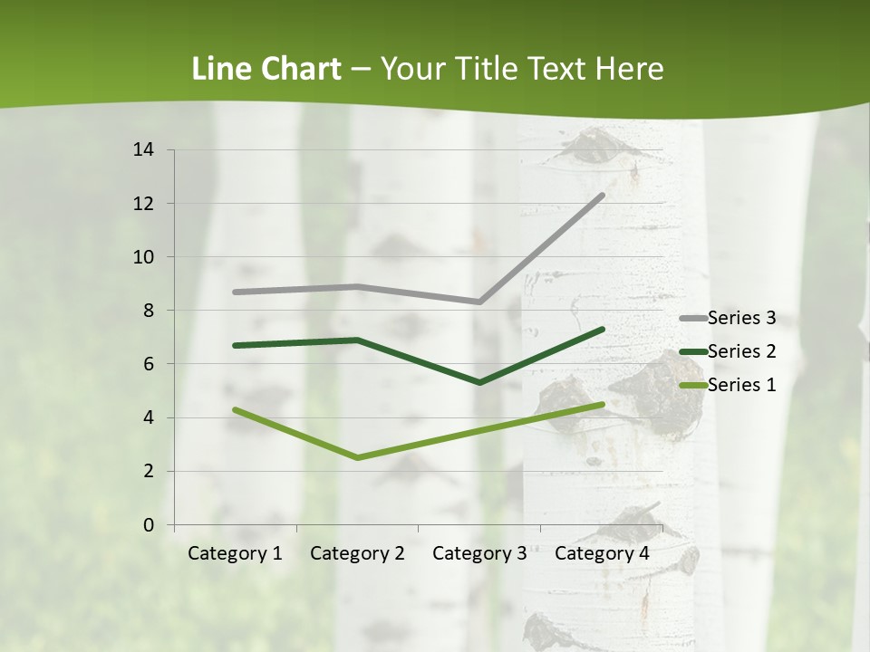 A Group Of White Birch Trees With Green Grass In The Background PowerPoint Template