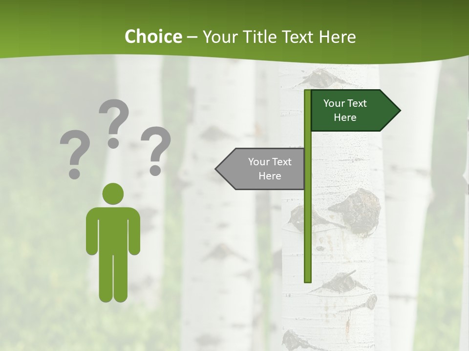 A Group Of White Birch Trees With Green Grass In The Background PowerPoint Template