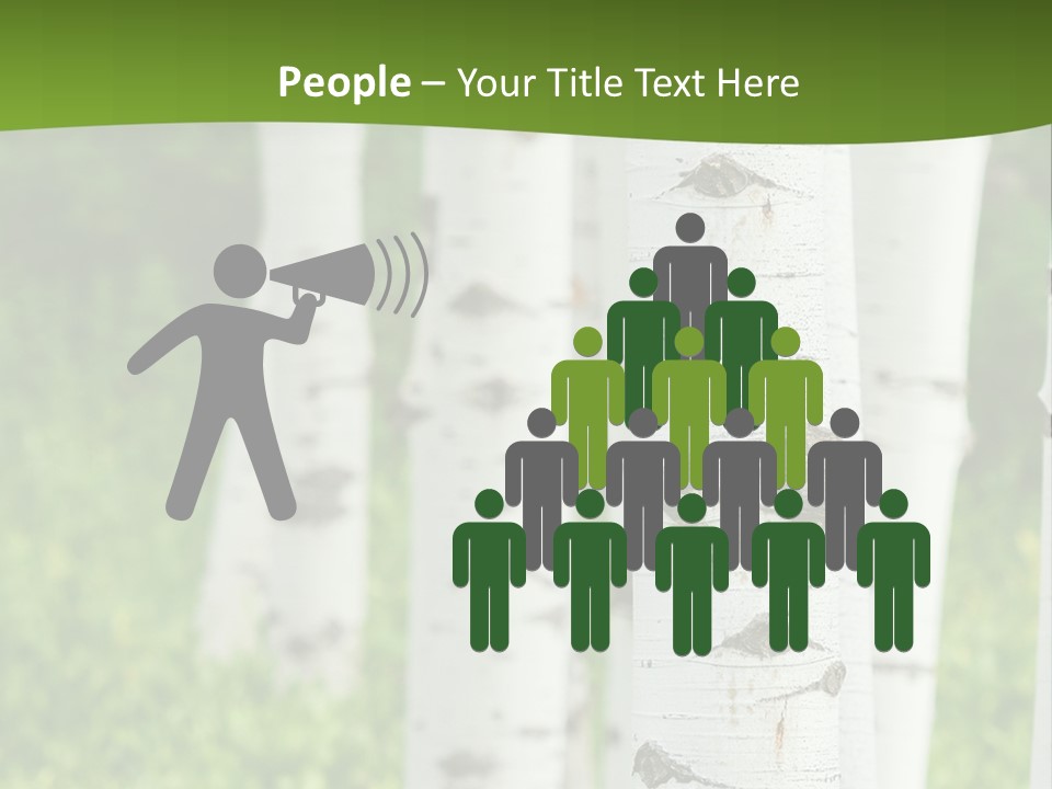 A Group Of White Birch Trees With Green Grass In The Background PowerPoint Template